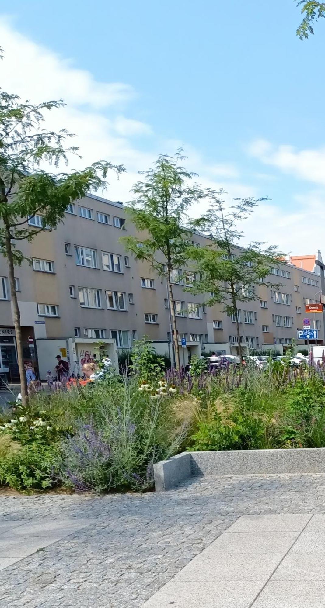 Kotlarska Apartment Wrocław Exteriör bild
